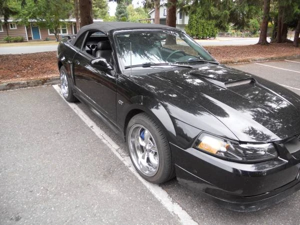 2001 Ford SN95 Mustang - Image 4 of 11