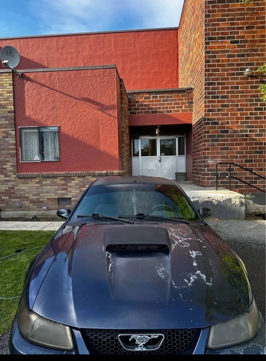 2001 Ford SN95 Mustang - Image 7 of 16