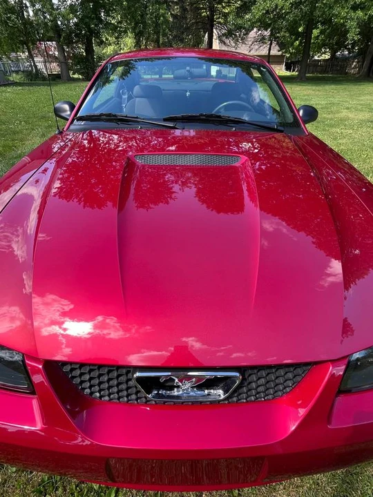 2001 Ford SN95 Mustang - Image 6 of 15