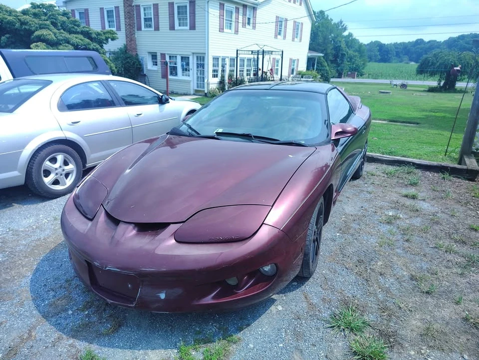 2001 Pontiac Firebird 4th Gen - Image 2 of 16
