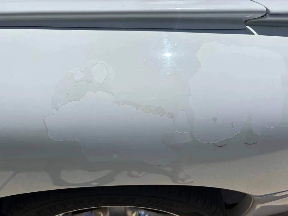 2001 Pontiac Firebird 4th Gen - Image 16 of 20