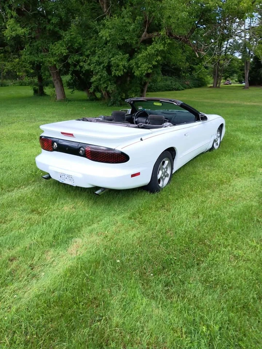 2001 Pontiac Firebird 4th Gen - Image 2 of 7