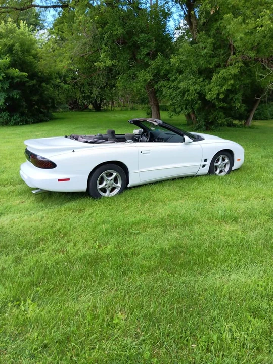2001 Pontiac Firebird 4th Gen - Image 6 of 7