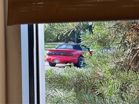 2001 Pontiac Firebird Convertible 2D