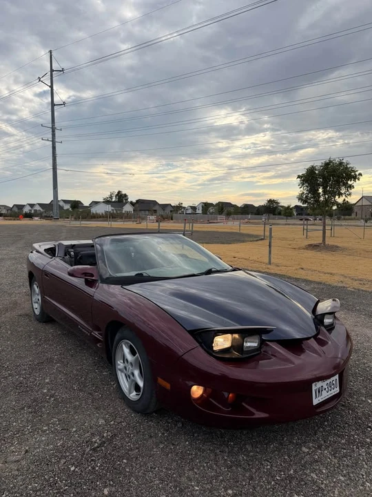 2001 Pontiac Firebird 4th Gen - Image 7 of 17