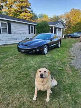2001 Pontiac Firebird Coupe
