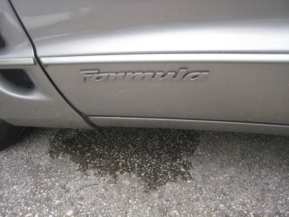2001 Pontiac Firebird 4th Gen - Image 10 of 21
