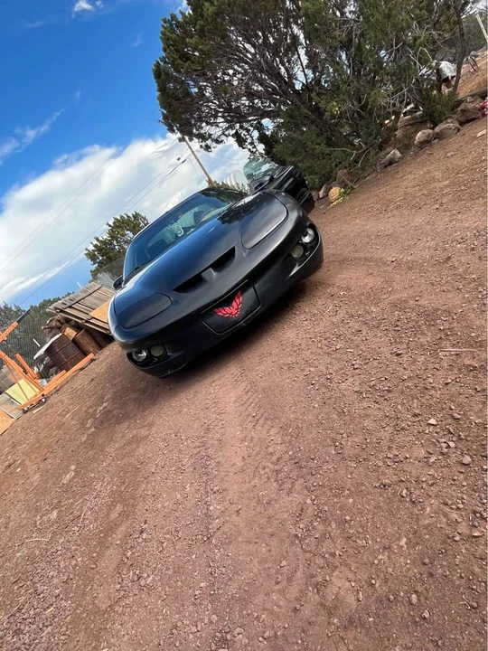 2001 Pontiac Firebird 4th Gen - Image 8 of 18