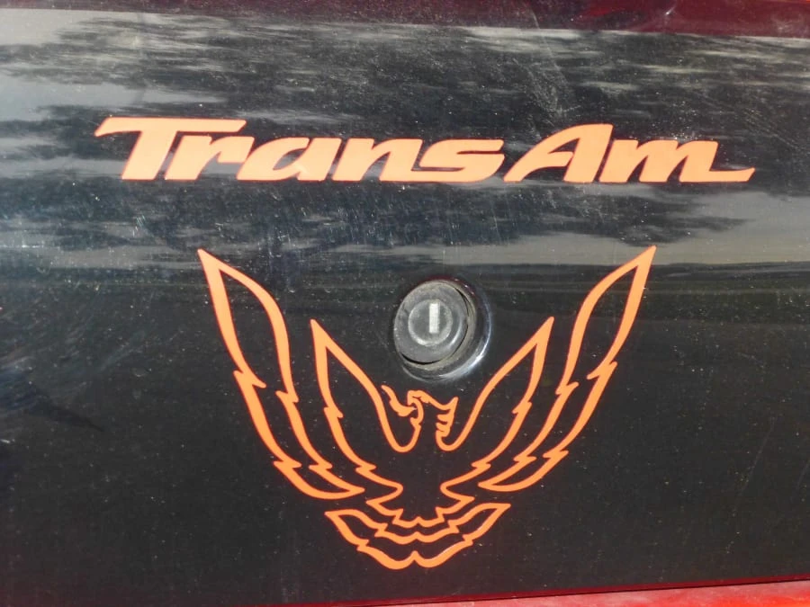 2001 Pontiac Firebird Trans Am 4th Gen - Image 5 of 9