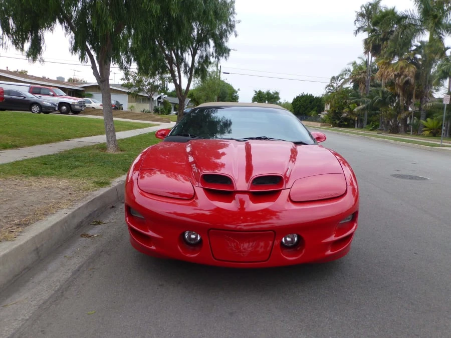 2001 Pontiac Firebird Trans Am 4th Gen - Image 8 of 9