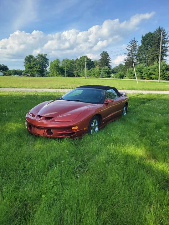 2001 Pontiac Firebird Trans Am 4th Gen - Image 19 of 20