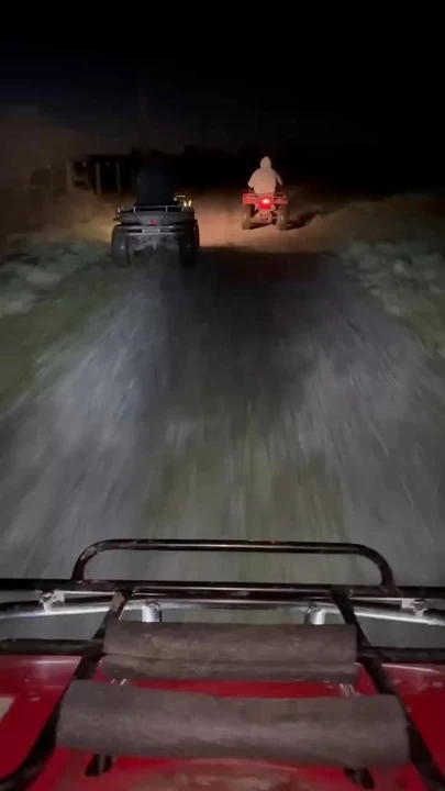 2001 Honda ATV - Image 4 of 4