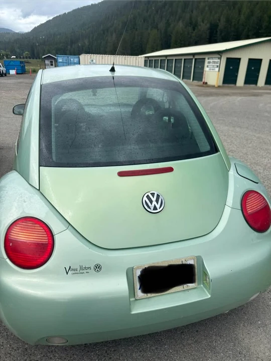 2001 Volkswagen New Beetle - Image 2 of 7