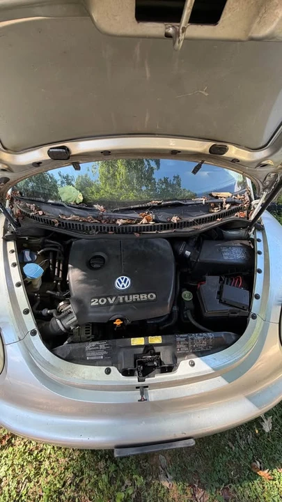 2001 Volkswagen New Beetle - Image 2 of 11