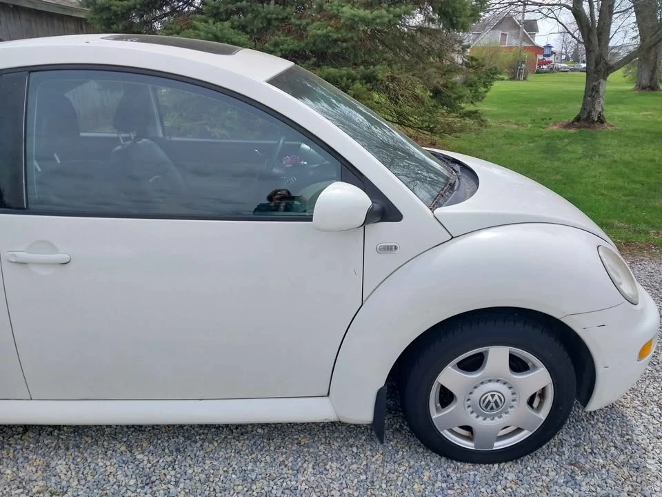 2001 Volkswagen New Beetle - Image 3 of 11