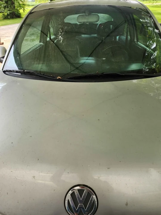 2001 Volkswagen New Beetle - Image 7 of 10
