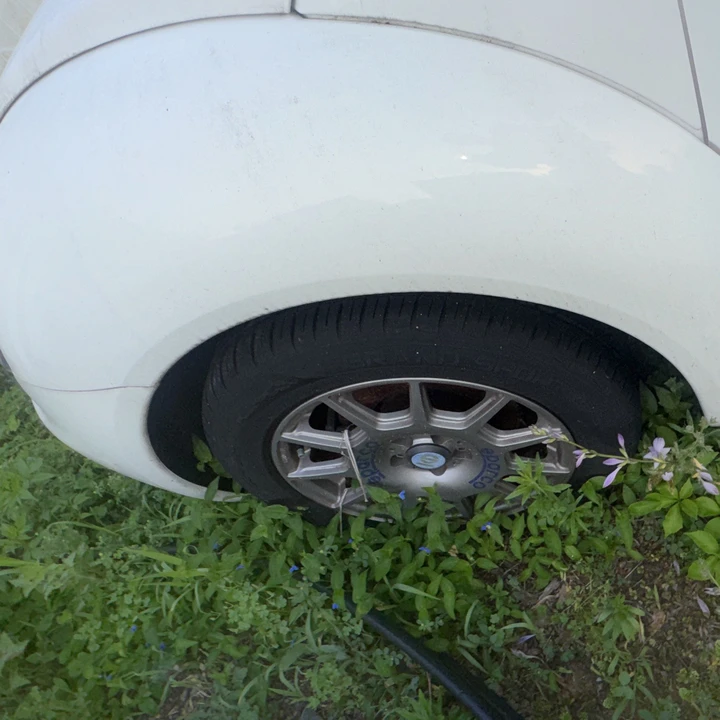 2001 Volkswagen New Beetle - Image 12 of 24