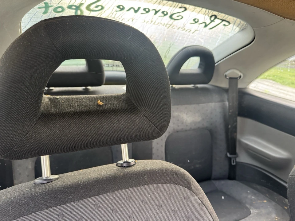 2001 Volkswagen New Beetle - Image 9 of 24