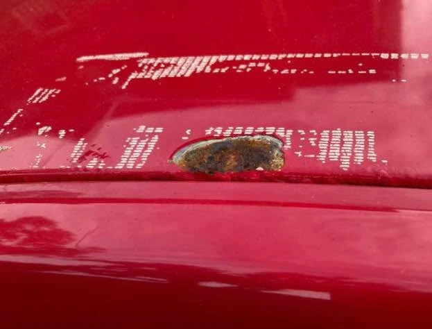 2001 Volkswagen New Beetle - Image 10 of 12