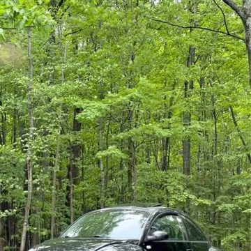 2001 Volkswagen Beetle