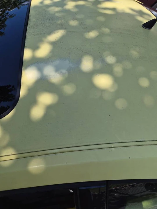 2001 Volkswagen New Beetle - Image 14 of 24
