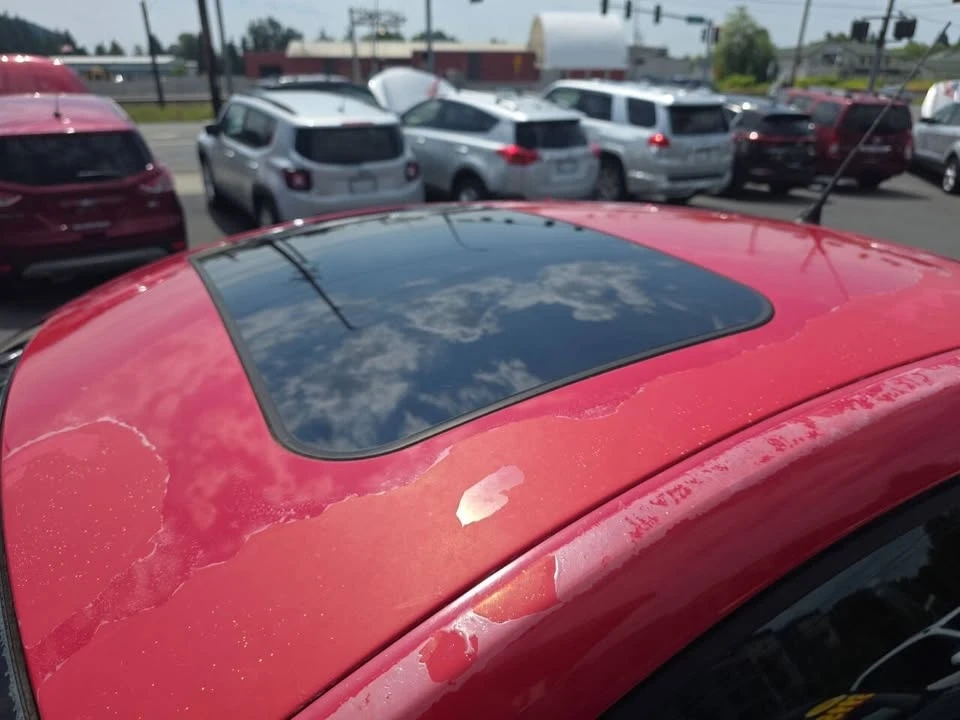2001 Volkswagen New Beetle - Image 8 of 20