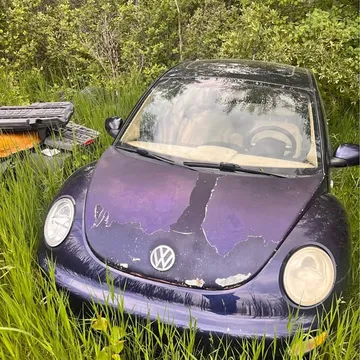 2001 Volkswagen New Beetle