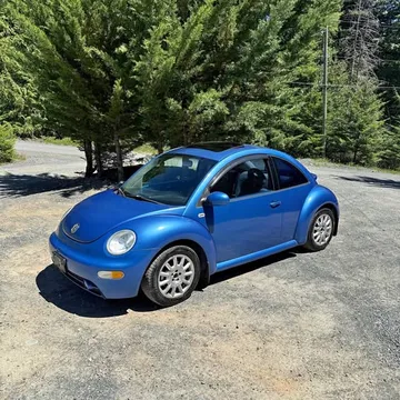 2001 Volkswagen Beetle TDI ALH