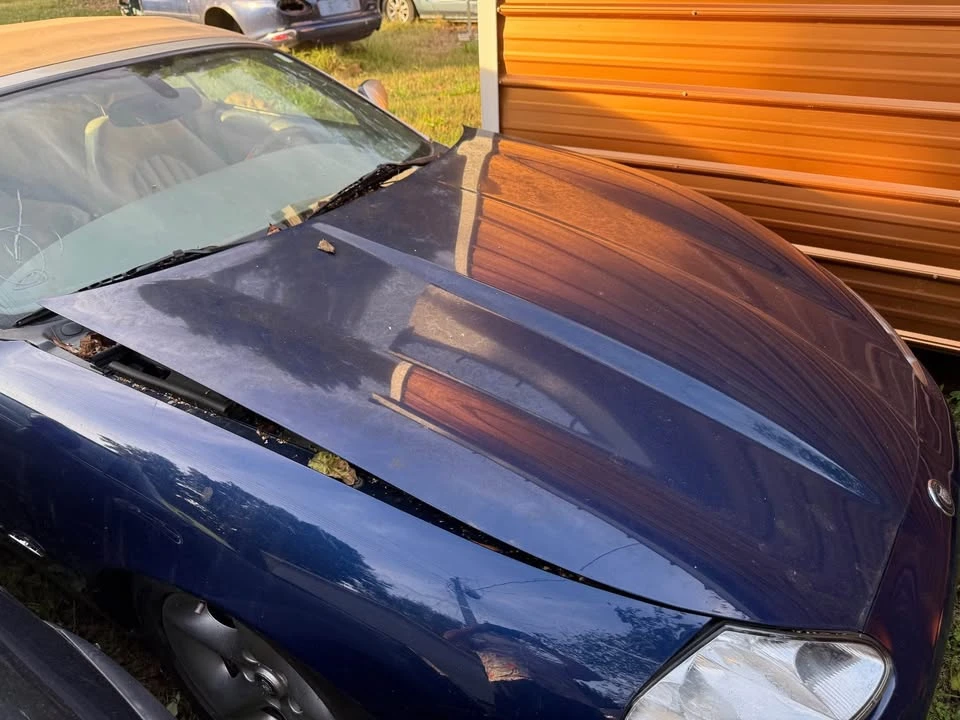 2001 Jaguar X100 XK8 - Image 6 of 7