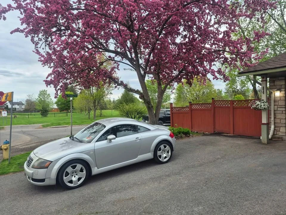 2001 Audi TT Mk1 - Image 3 of 3