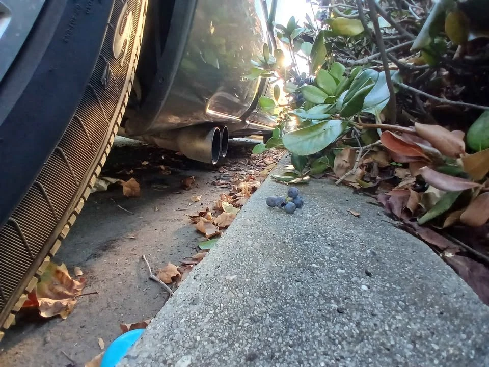 2001 Chevrolet Silverado 1st Gen - Image 3 of 10