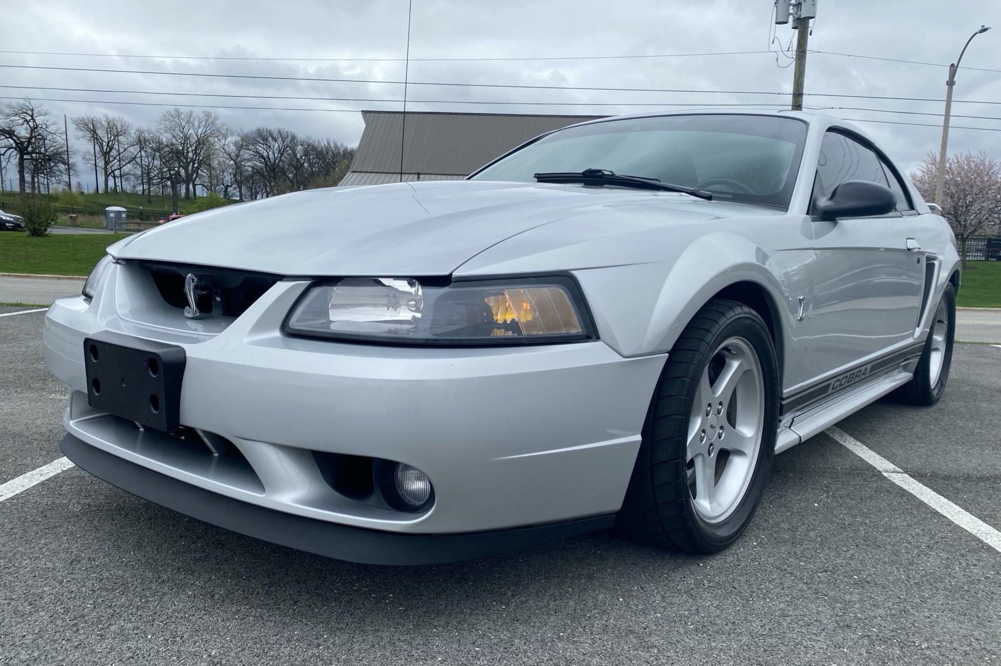26k-Mile 2001 Ford Mustang SVT Cobra