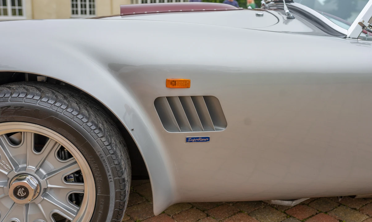 2002 Shelby Cobra Replica - Image 20 of 31
