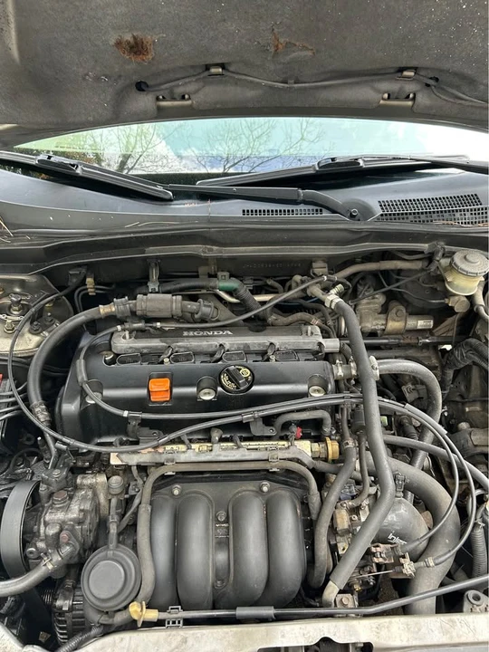2002 Acura RSX - Image 13 of 13