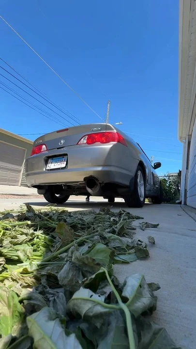 2002 Acura RSX - Image 9 of 9