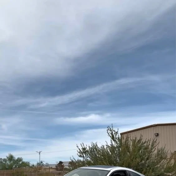 2002 Acura RSX Type-S - Image 1 of 1