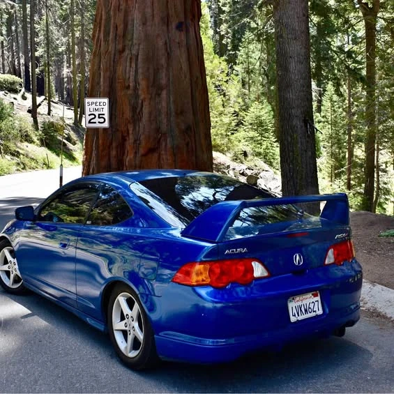 2002 Acura RSX Type-S - Image 1 of 1