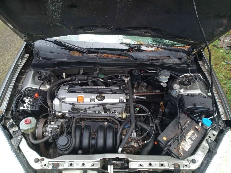 2002 Acura RSX - Image 5 of 5