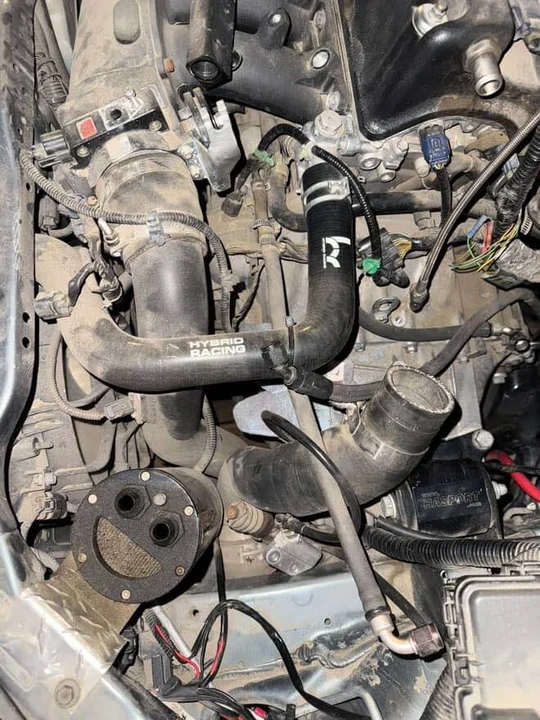 2002 Acura RSX - Image 6 of 7