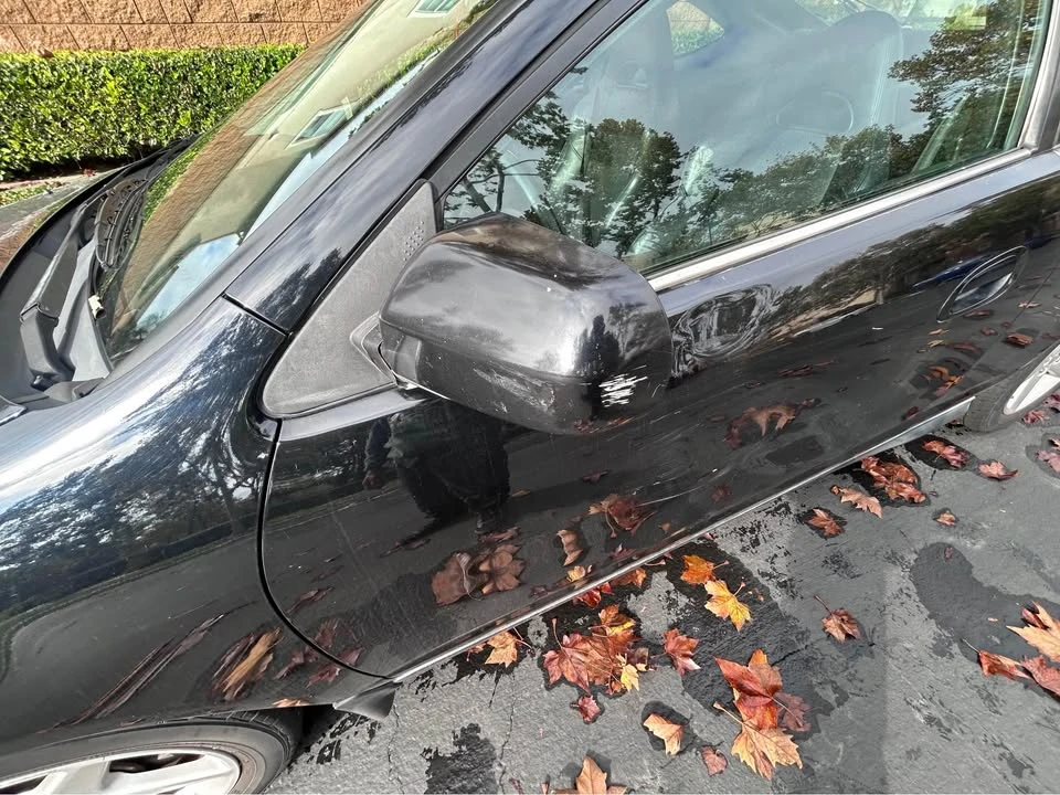2002 Acura RSX - Image 12 of 14