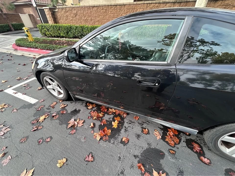 2002 Acura RSX - Image 14 of 14