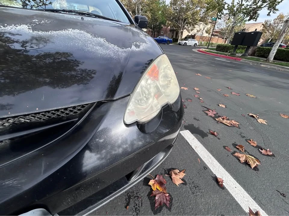 2002 Acura RSX - Image 6 of 14