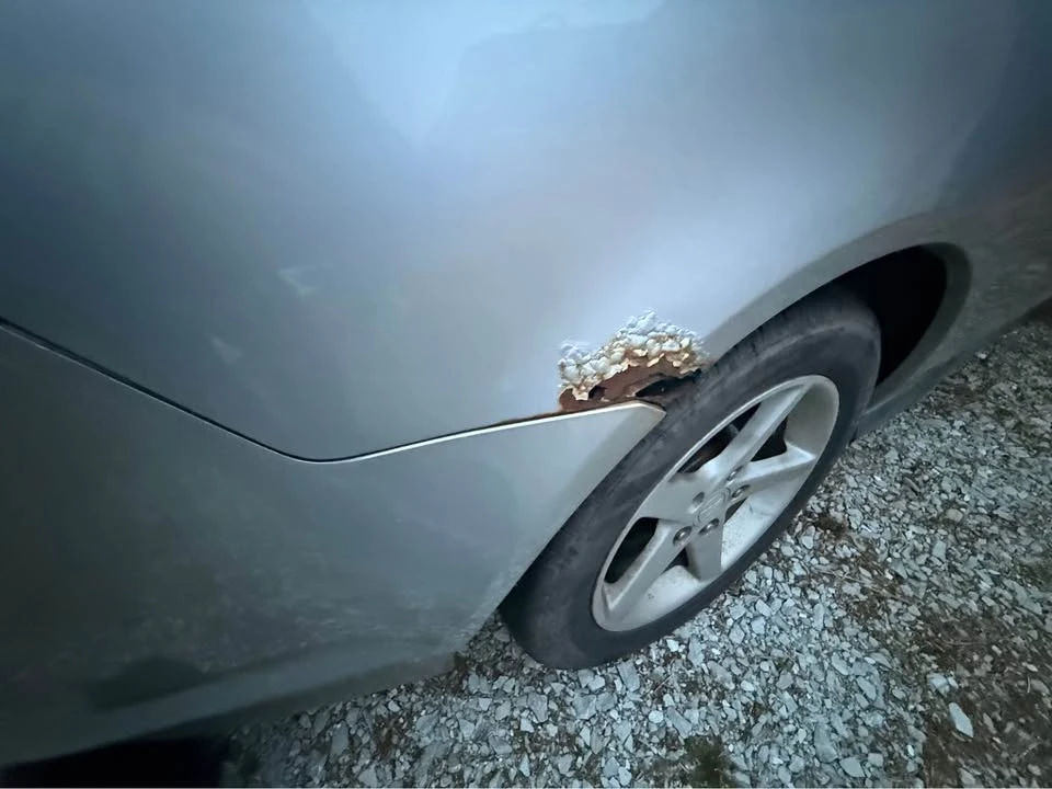 2002 Acura RSX - Image 5 of 10