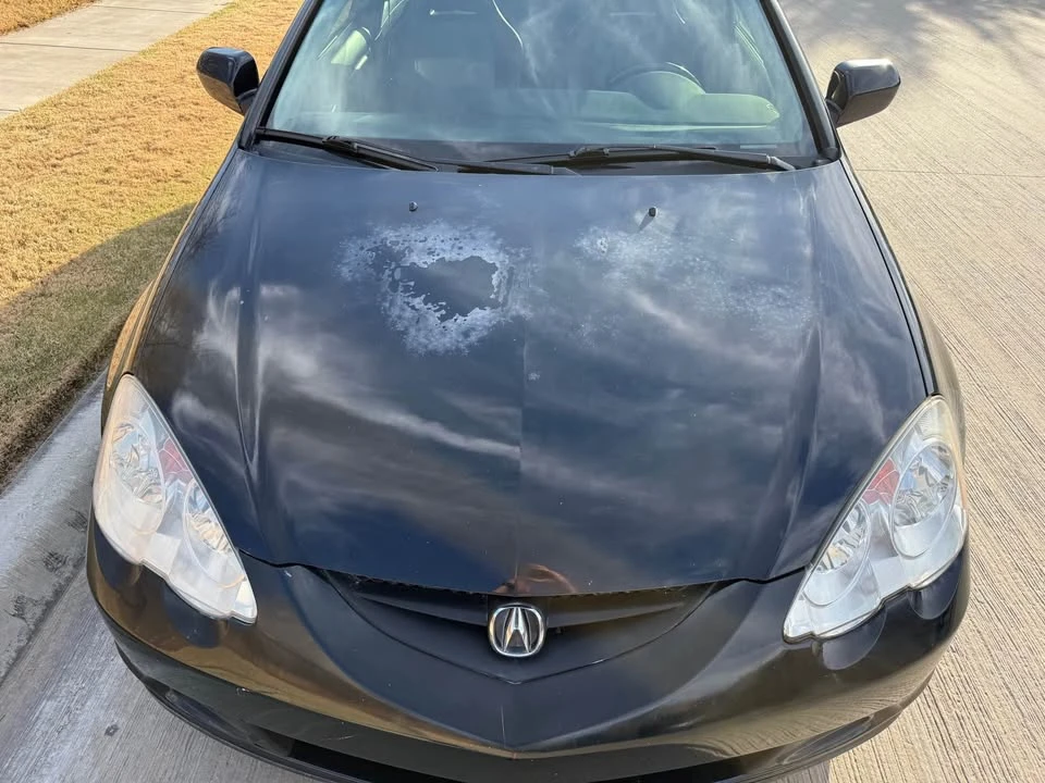 2002 Acura Integra 4th Gen - Image 8 of 12