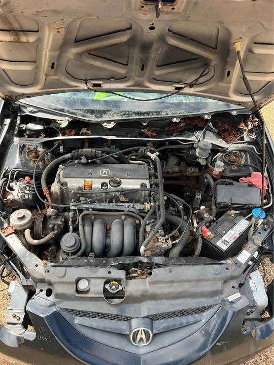 2002 Acura Integra 4th Gen - Image 9 of 12