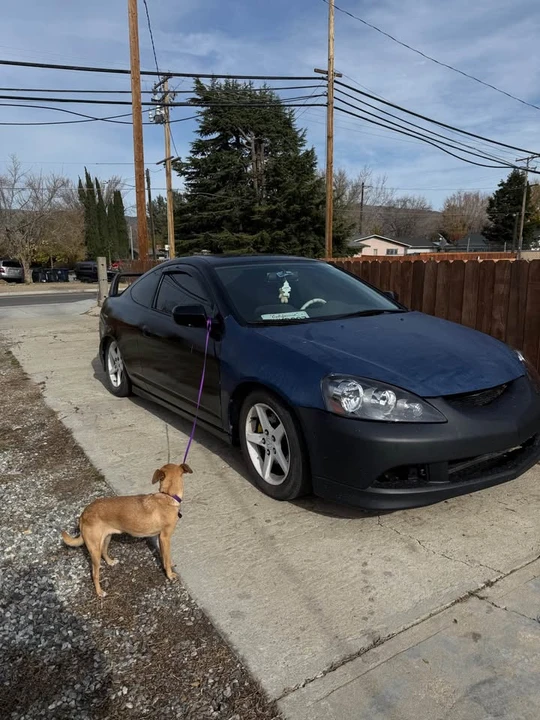 2002 Acura Integra 4th Gen - Image 4 of 4