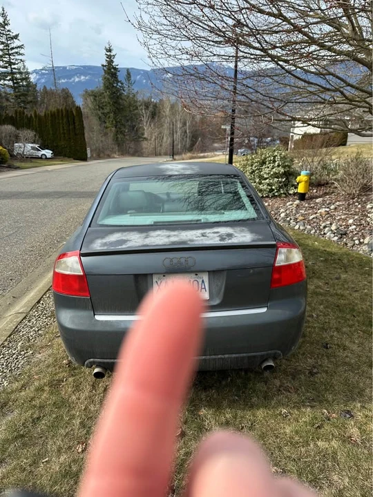 2002 Audi B6 A4 - Image 4 of 8
