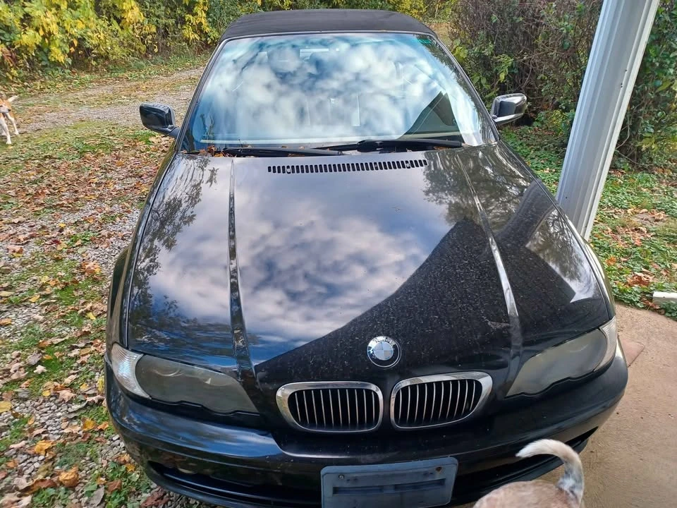 2002 BMW 3 Series - Image 15 of 18