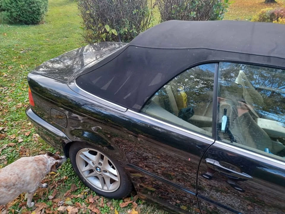 2002 BMW 3 Series - Image 5 of 18