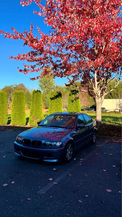 2002 BMW E46 3 Series - Image 2 of 5